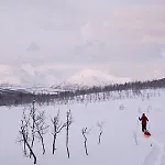 Practical In The Center * Tromso