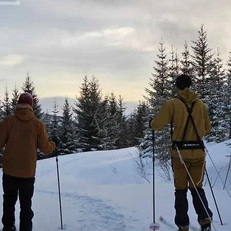 Practical In The Center 公寓 特罗姆瑟