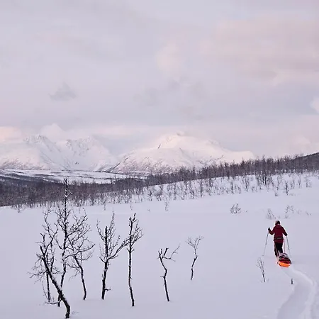 Practical In The Center * Tromsø